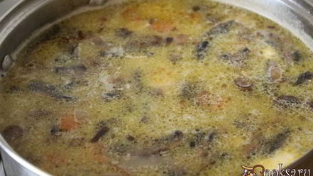 Рецепт супа с шампиньонами и фарфалле на курином бульоне