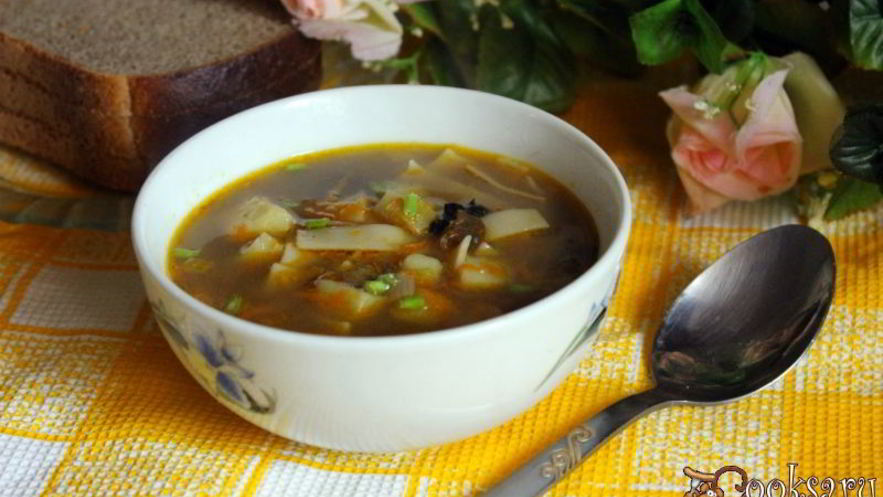 Рецепт супа с сушеными грибами и лапшой на курином бульоне