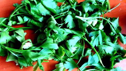 Рецепт французского чесночного супа с сырными гренками