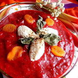 Рецепт Гаспачо из ревеня и вишни