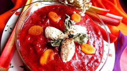 Рецепт гаспачо из ревеня и вишни