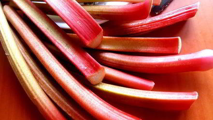 Рецепт гаспачо из ревеня и вишни