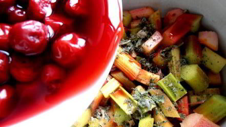 Рецепт гаспачо из ревеня и вишни