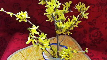 Рецепт холодника на кефире с маринованной свеклой