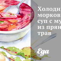 Холодный морковный суп с муссом из пряных трав