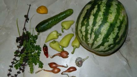 Рецепт холодного супа гаспачо из арбуза