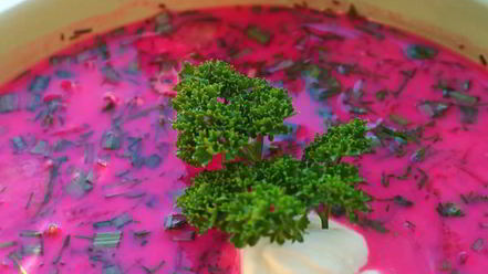 Рецепт свекольного холодника с закваской