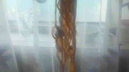 Рецепт лагмана с тянутой лапшой