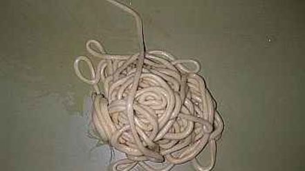 Рецепт лагмана со спагетти