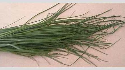 Рецепт лагмана со спагетти