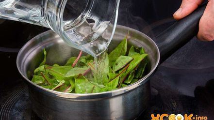 Рецепт кисломолочного супа со свекольной ботвой сарнапур