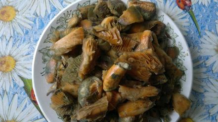 Рецепт молочного супа с рыжиками