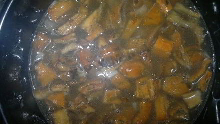 Рецепт молочного супа с рыжиками