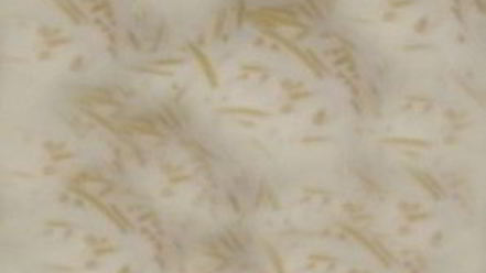 Рецепт молочного супа с вермишелью для детей