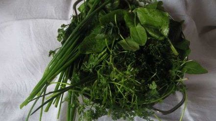 Рецепт молочных супов