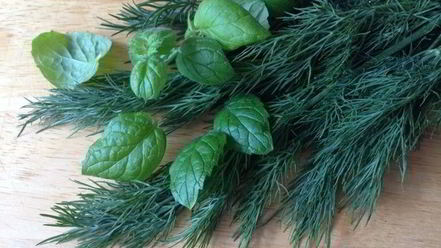 Рецепт окрошки-мохито