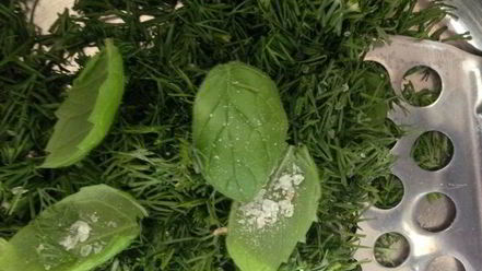 Рецепт окрошки-мохито