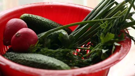 Рецепт окрошки на воде