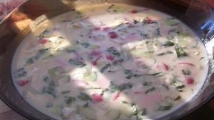 Рецепт сельдереевой окрошки на кефире