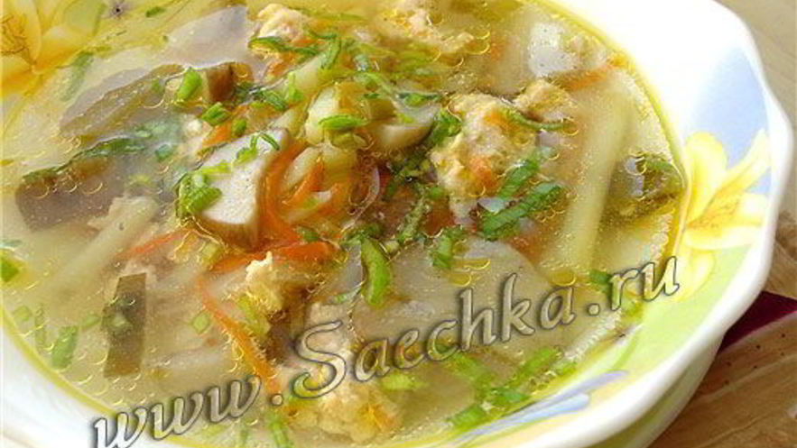 Рецепт похлебки грибной на мясном бульоне