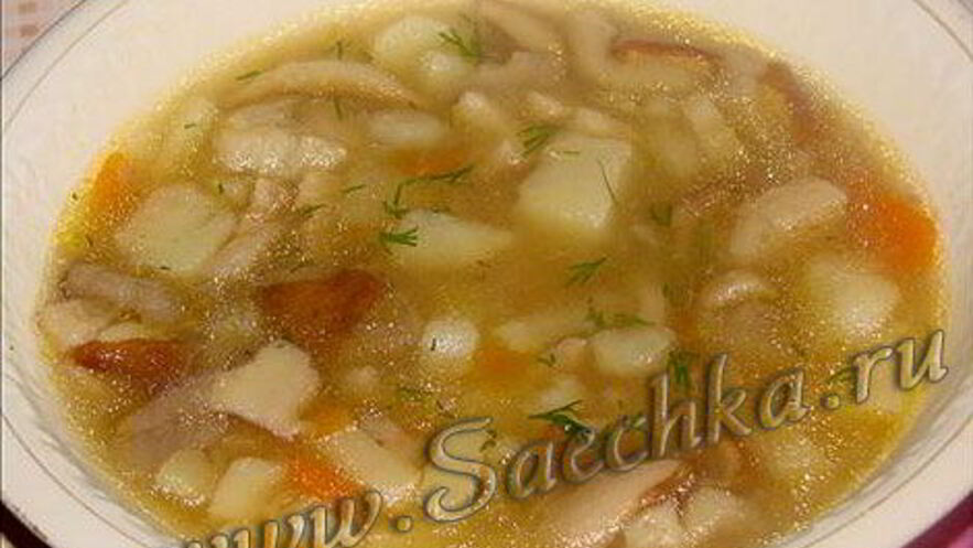 Рецепт похлебки из белых грибов