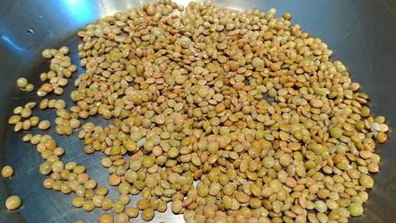 Рецепт похлебки с чечевицей и черносливом