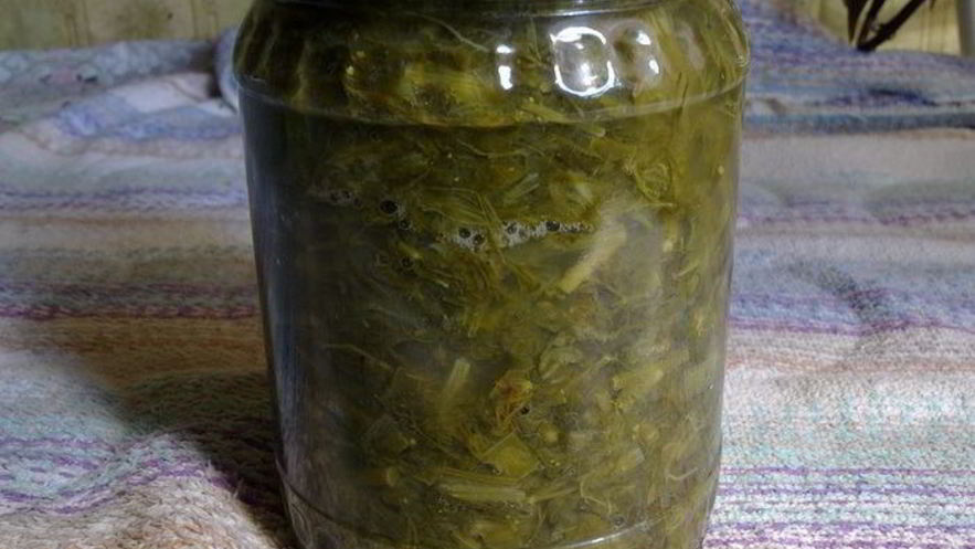 Рецепт щавеля для летних щей зимой