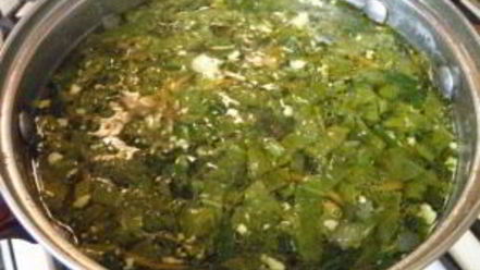 Рецепт щавелевых щей