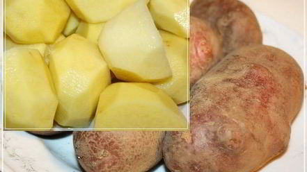 Рецепт щей из квашеной капусты с уткой