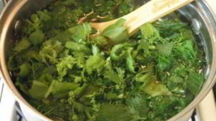 Рецепт щей из щавеля и крапивы