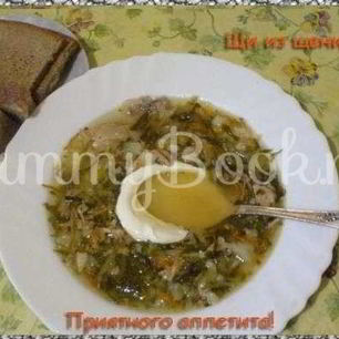 Рецепт Щей из щеницы