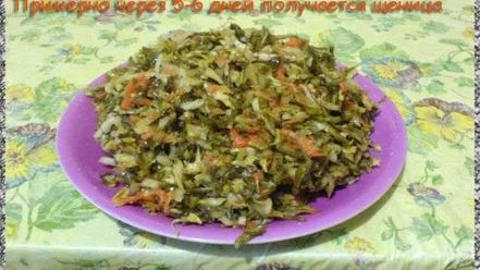 Рецепт щей из щеницы