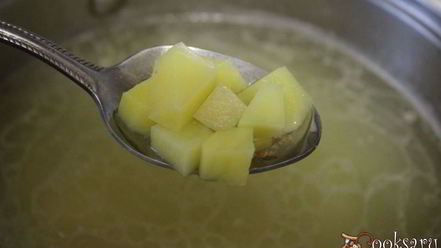 Рецепт щей из свежей капусты с пшеничной крупой