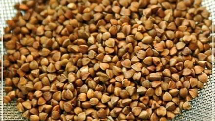 Рецепт щей постных с гречкой и квашеной капустой