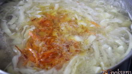 Рецепт щей с фасолью на курином бульоне