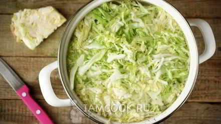 Рецепт щей с говядиной