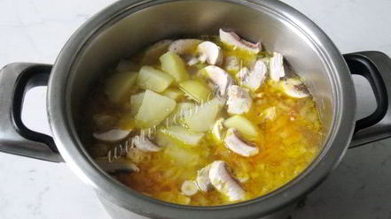 Рецепт щей с квашеной капустой и грибами