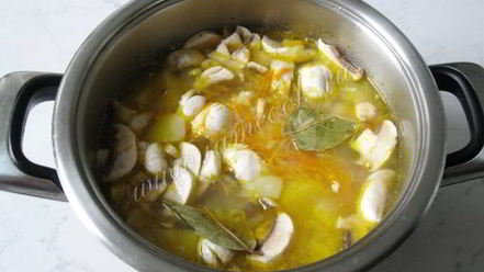 Рецепт щей с квашеной капустой и грибами