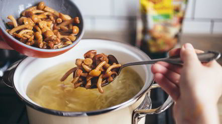 Рецепт щей с опятами