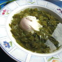 Рецепт Щей щавелевых холодных