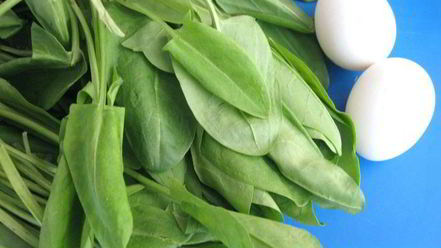 Рецепт щей щавелевых холодных