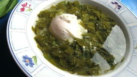 Рецепт щей щавелевых холодных