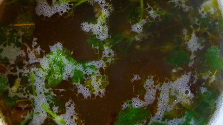 Рецепт щей со щавелем