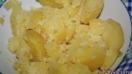 Рецепт суточных щей со свининой и сушеными грибами на квашеной капусте