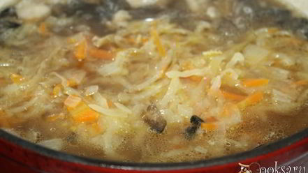 Рецепт суточных щей со свининой и сушеными грибами на квашеной капусте