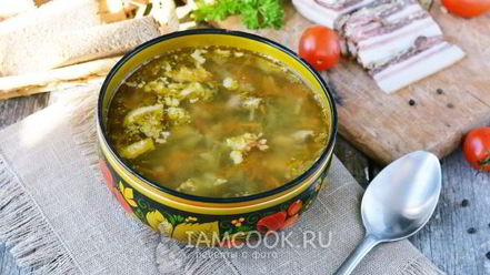 Рецепт зеленых щей из кисленицы