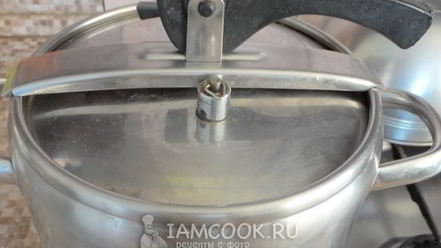 Рецепт зеленых щей из кисленицы