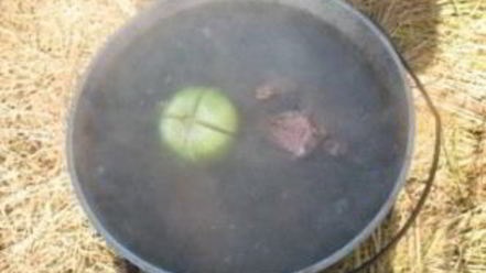 Рецепт шурпы из дикой утки