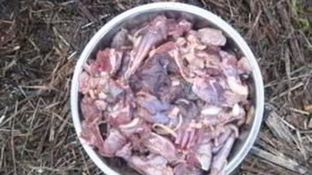 Рецепт шурпы из зайца