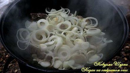 Рецепт шурпы ковурма